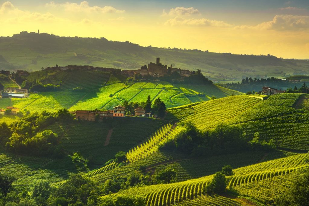 Langhe vineyards at Castiglione Falletto and La Morra near Piedmont in Northern Italy