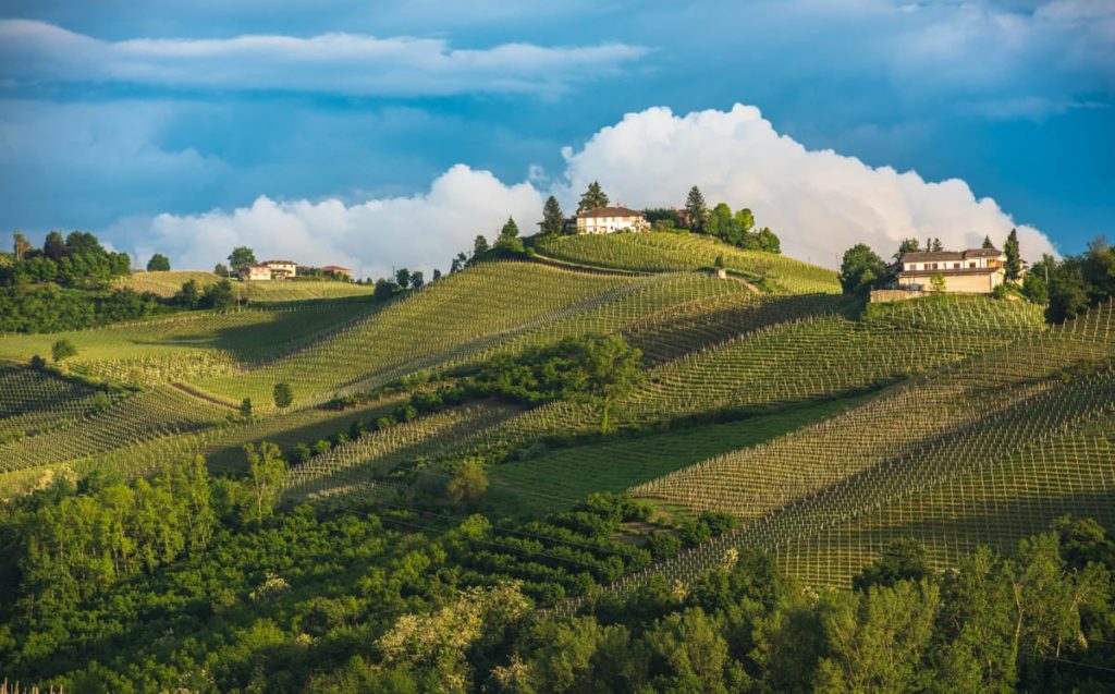 Vineyards of Langhe, Piedmont, UNESCO world heritage