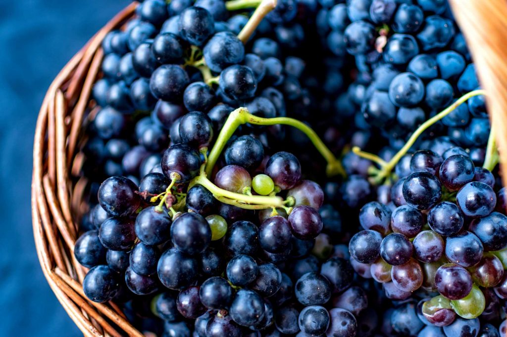 Tempranillo grapes